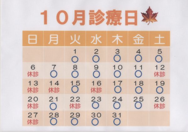 C895CEA3-416E-4C2B-8E02-D1C94C9E3B1E